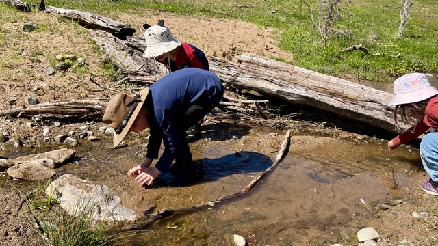 YLG Childrens Frogwatch 251019 6447