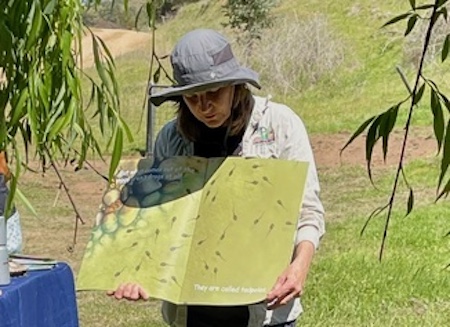 YLG Childrens Frogwatch 251019 6485