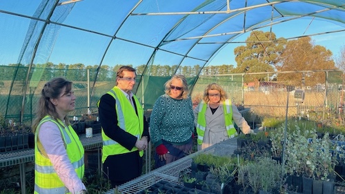 YLG Nursery water 7