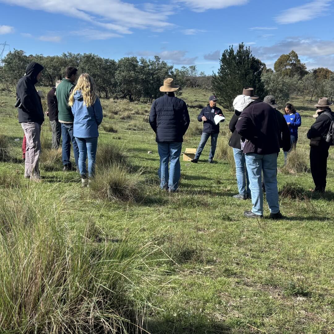 Below Your Knees: Community gathers at Bywong to explore weeds, grasslands and shared stewardship