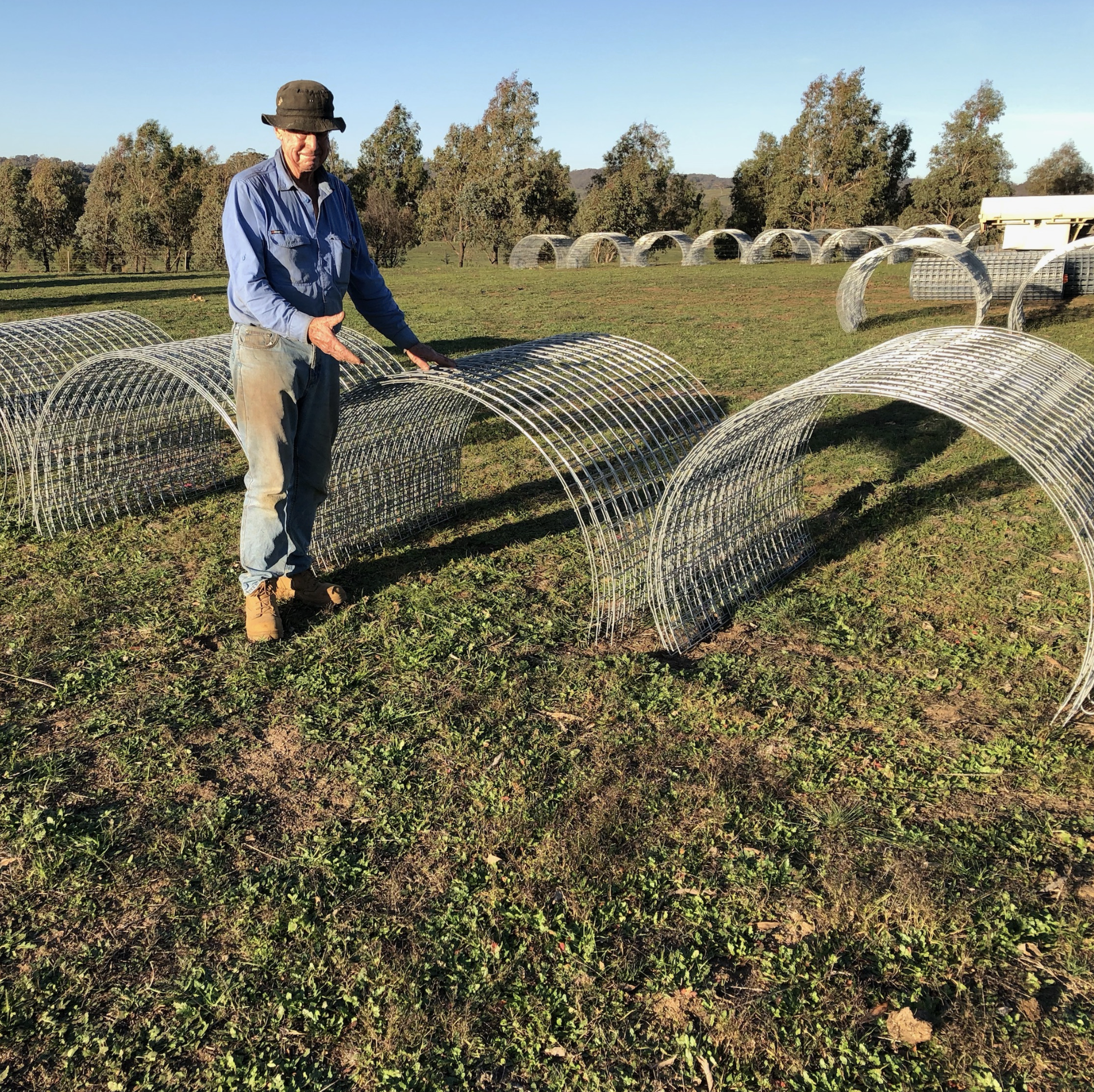 The Paddock Tree Project funded by South East Local Land Services